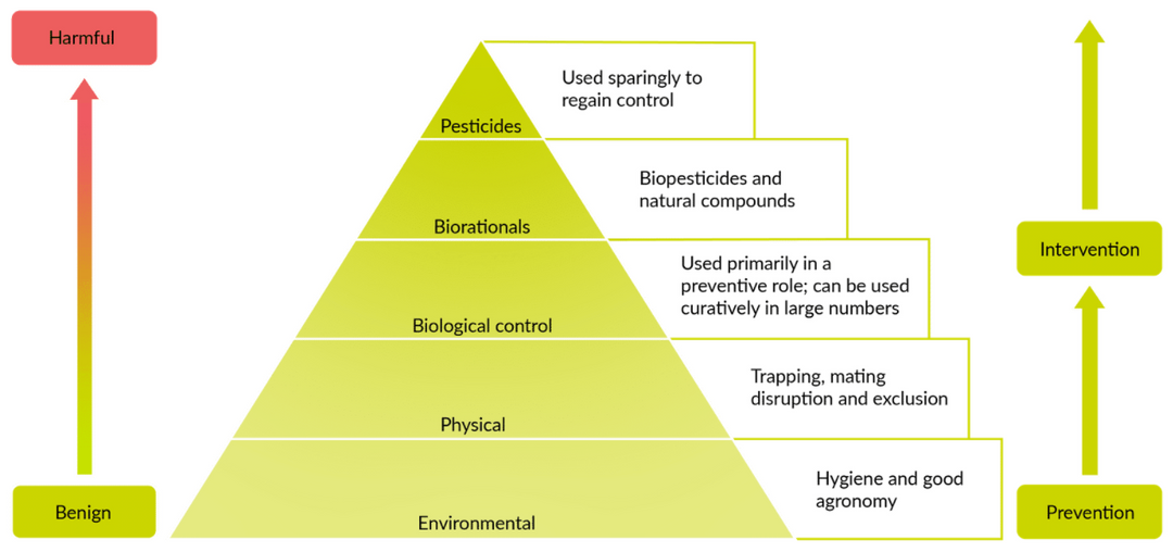Ipm Level IPM basics – Biobest Academy