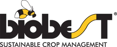 Vouchers and bundles