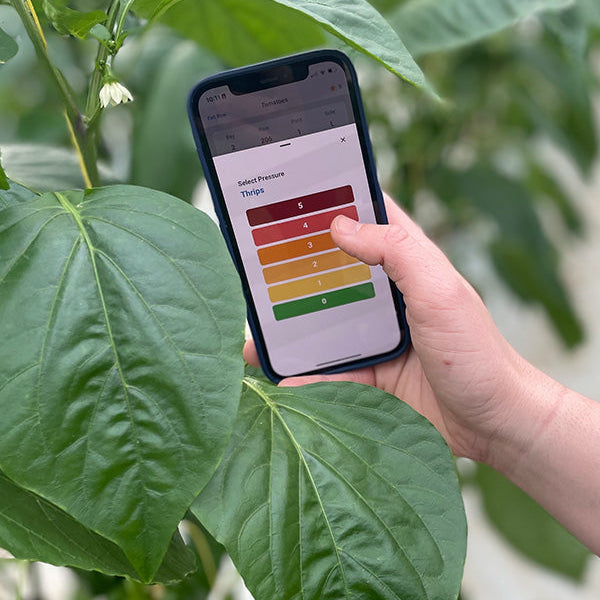 Introducing Crop-Scanner - digitizing your crop scouting