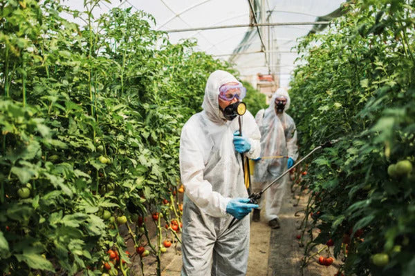 Chemical pesticides and side effects (CHMAEN0425)