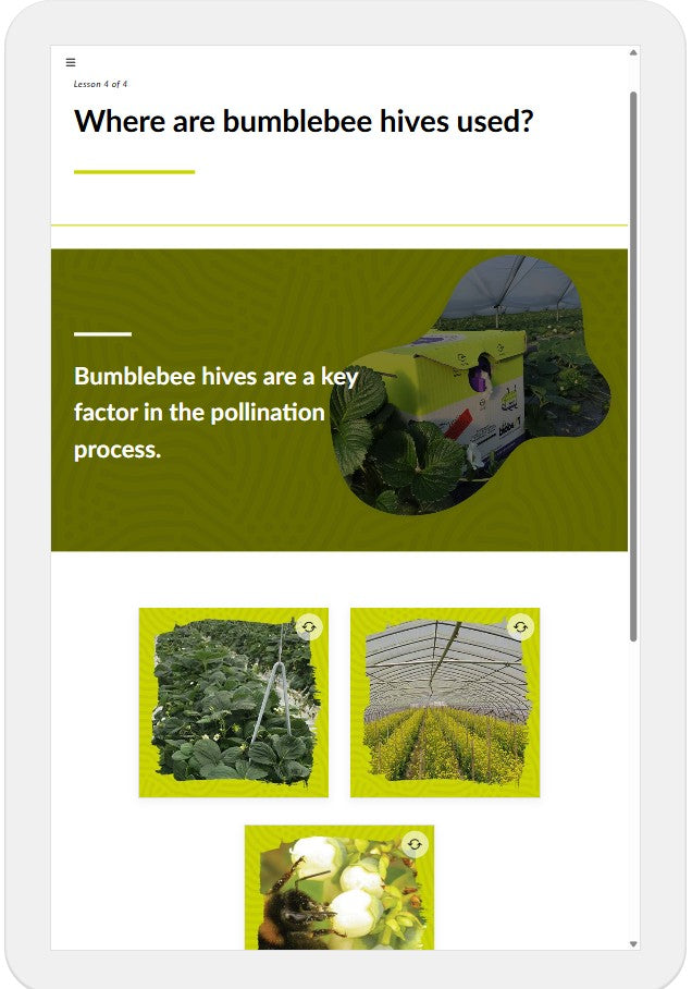 Introduction to bumblebee pollination (POLBEN0922)