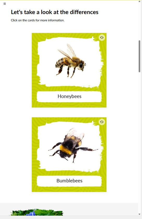Introduction to bumblebee pollination (POLBEN0922)