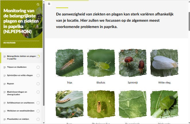 Inleiding tot IPM en teelt van paprika (PEPBNL1124)