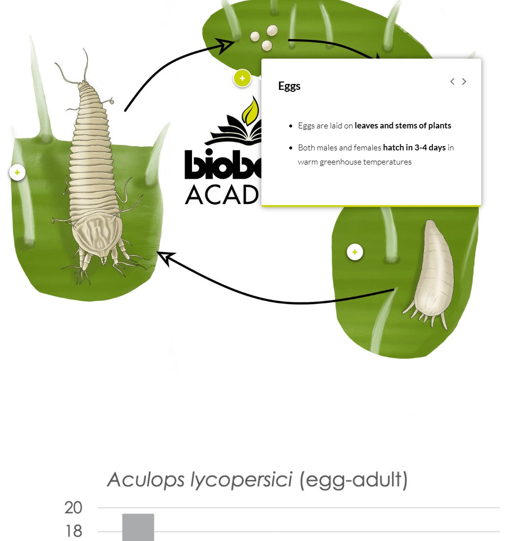 Tomato IPM and pollination (TOMAEN0922)