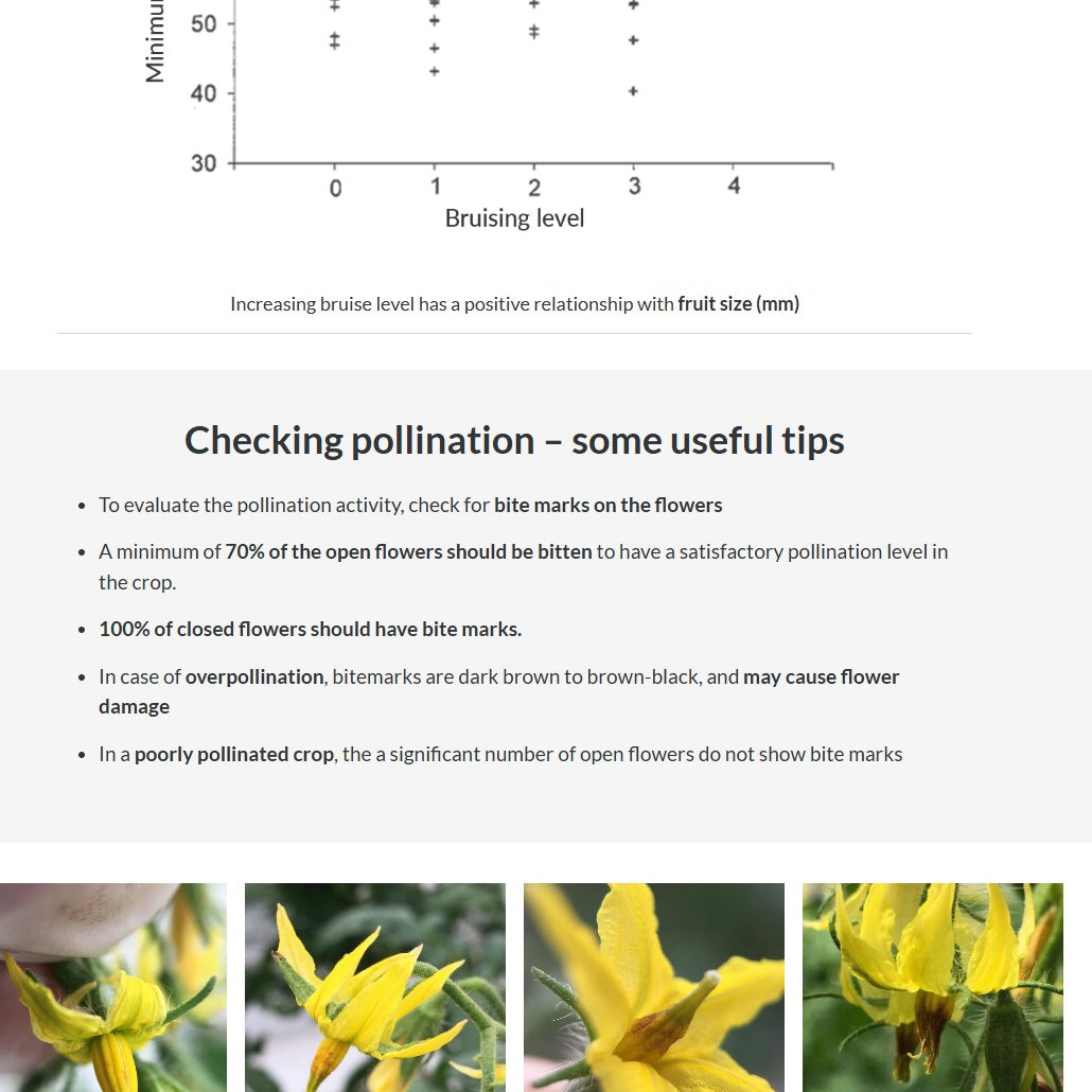 Tomato IPM and pollination (TOMAEN0922)