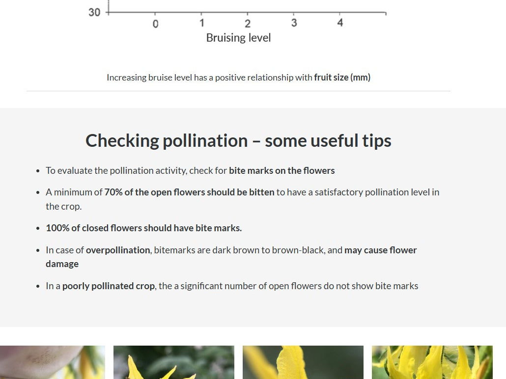 Tomato IPM and pollination (TOMAEN0922)