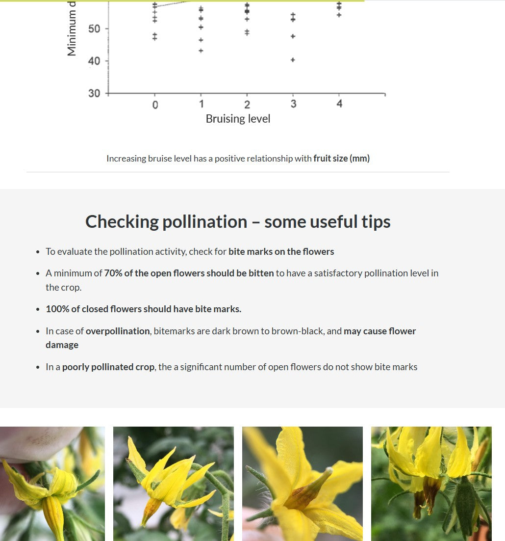 Tomato IPM and pollination (TOMAEN0922)
