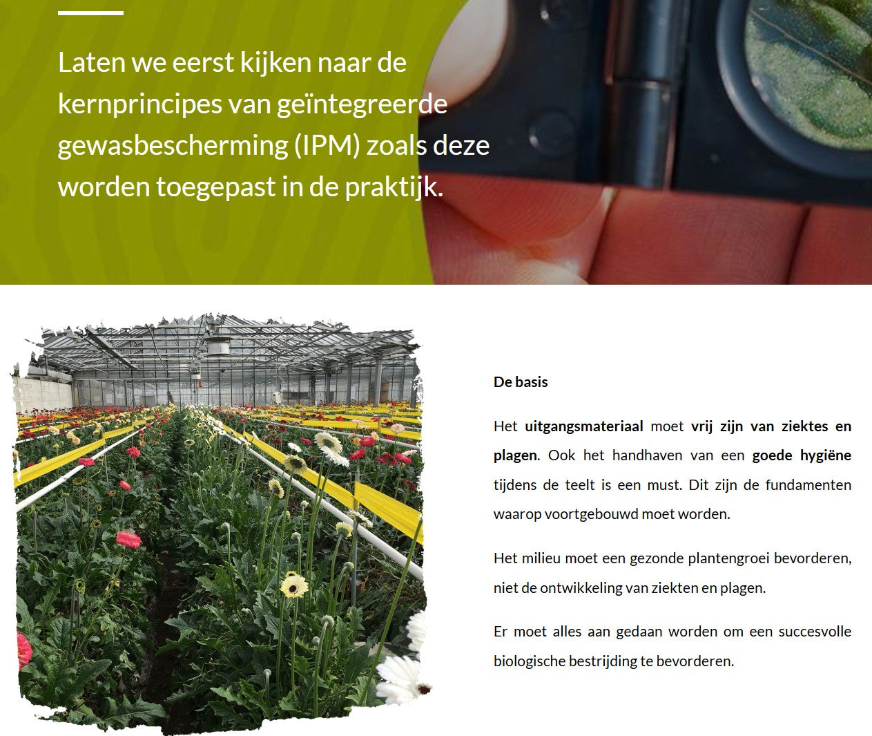 Inleiding tot de geïntegreerde gewasbescherming (IPMBNL1224)