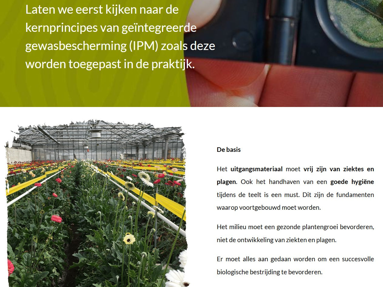 Inleiding tot de geïntegreerde gewasbescherming (IPMBNL1224)