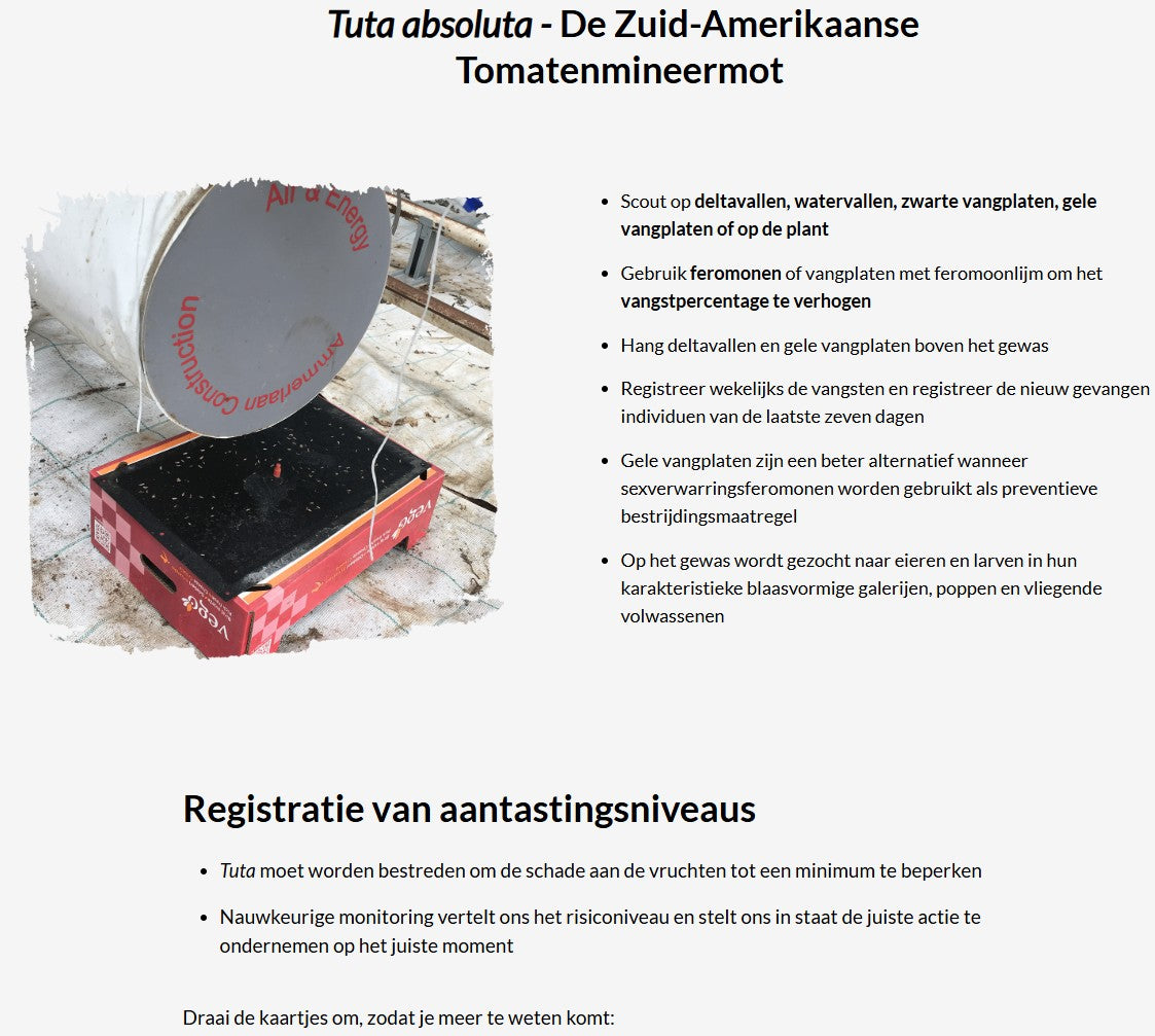 Inleiding tot IPM en teelt van tomaten (TOMBNL0424)