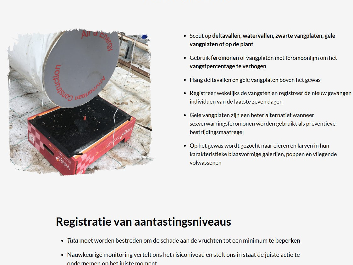 Inleiding tot IPM en teelt van tomaten (TOMBNL0424)