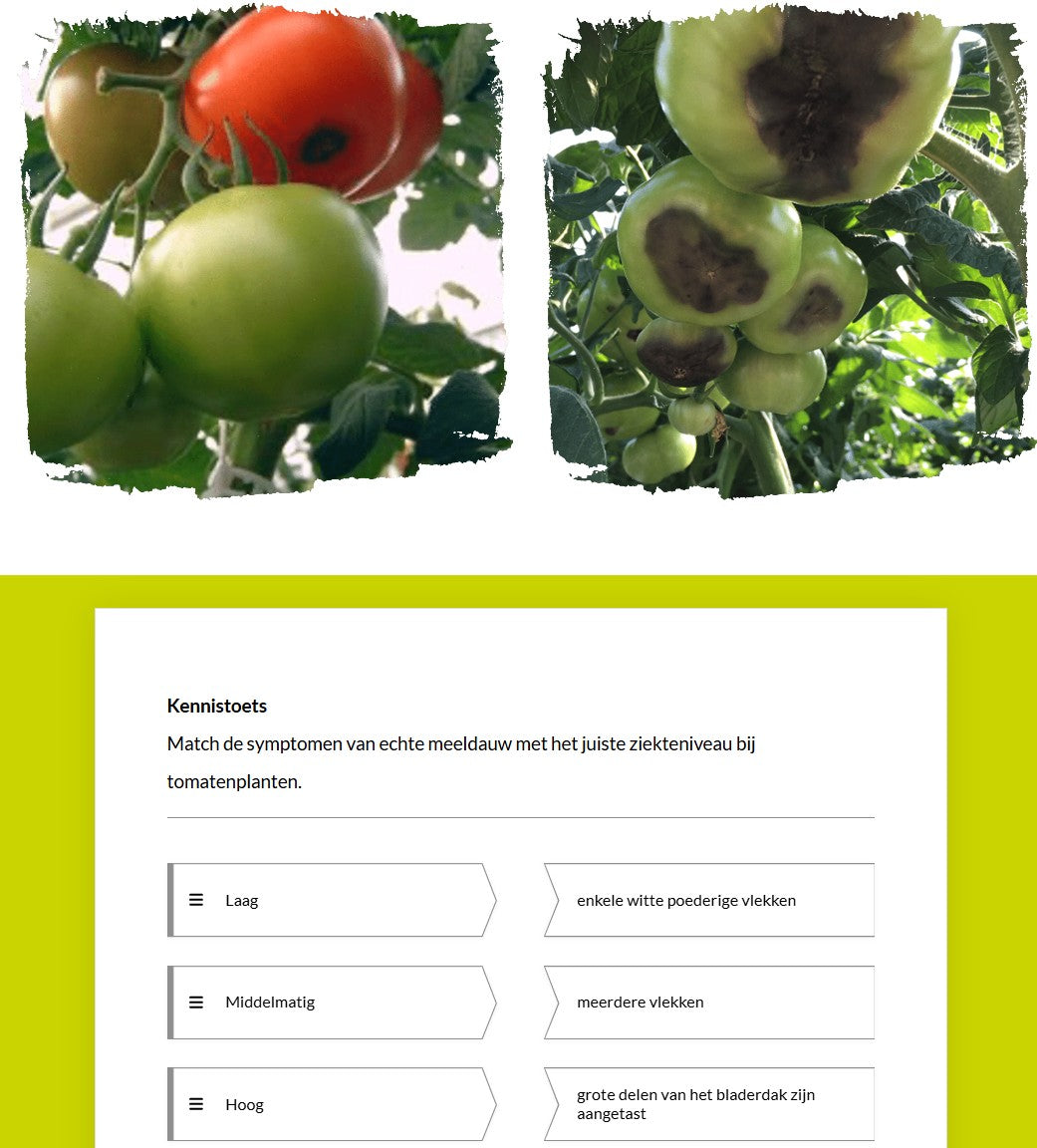 Inleiding tot IPM en teelt van tomaten (TOMBNL0424)