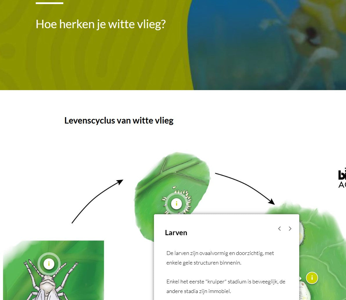 Inleiding tot de geïntegreerde gewasbescherming (IPMBNL1224)