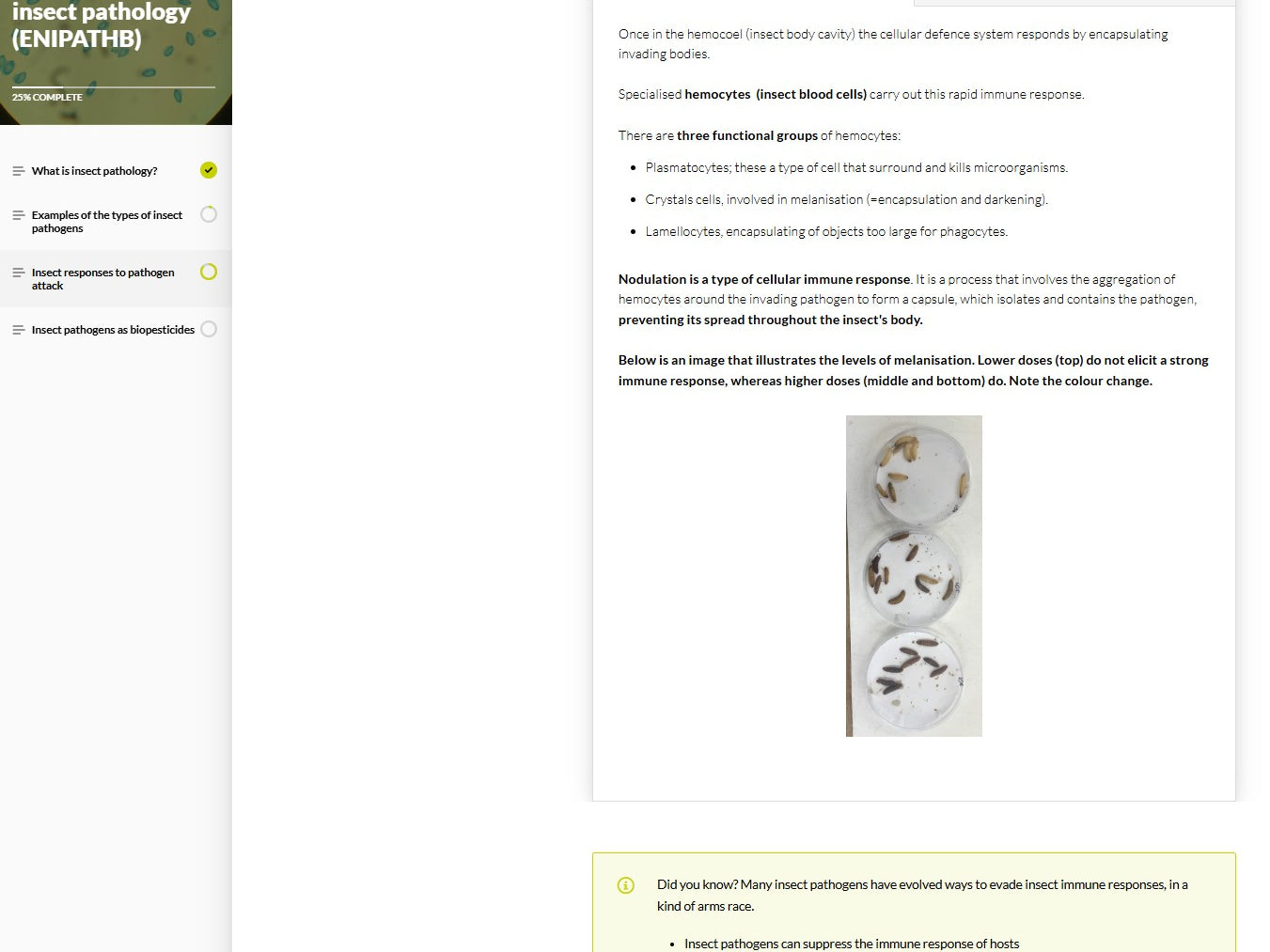 Introduction to insect pathology (IPTBEN0923)