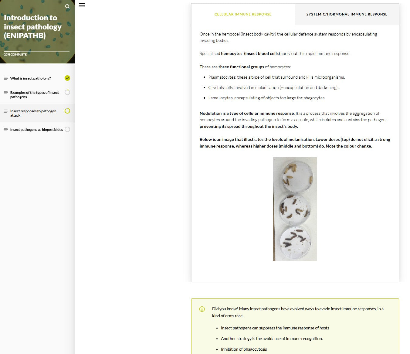 Introduction to insect pathology (IPTBEN0923)