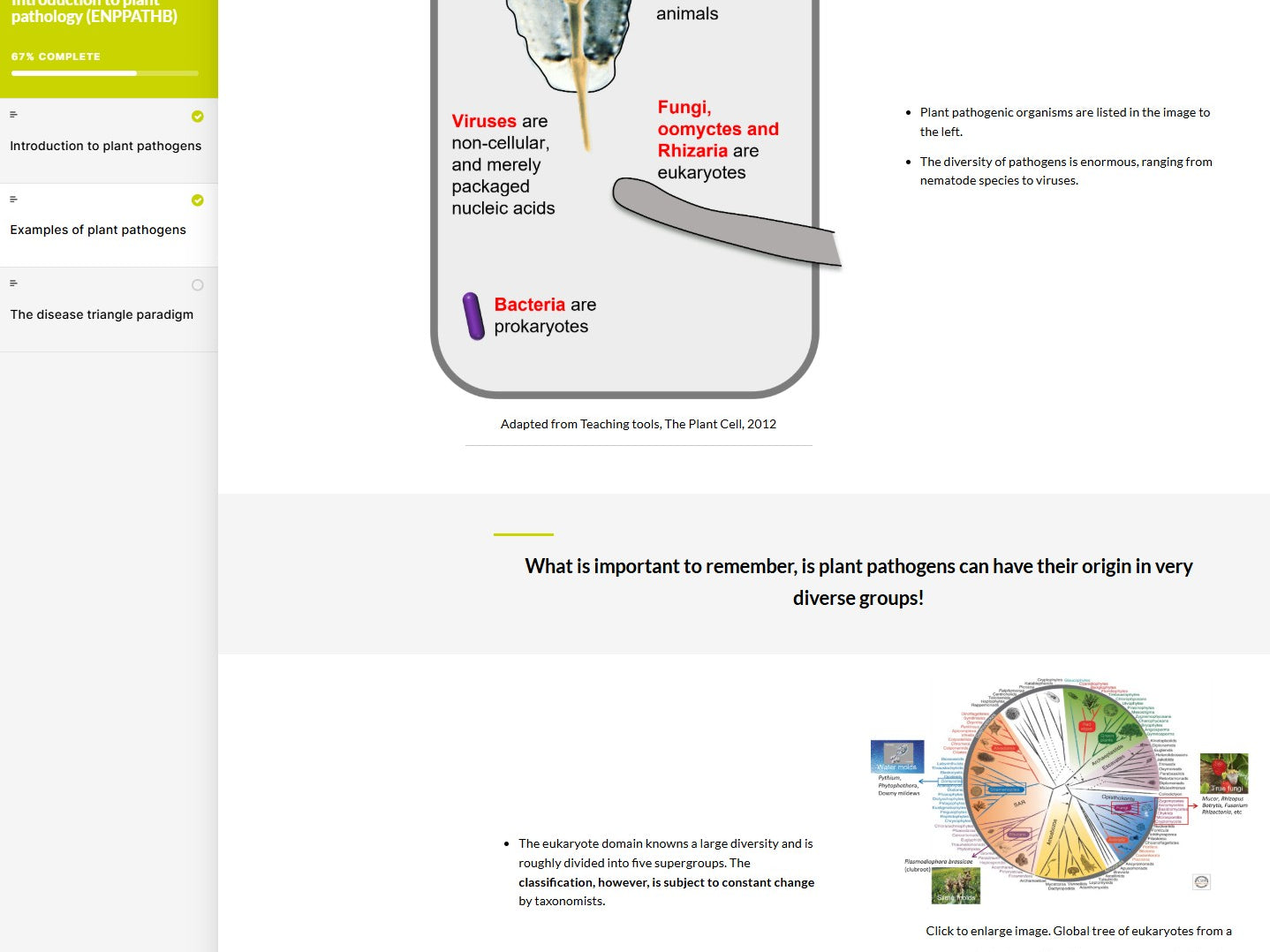 Introduction to plant pathology (PPTBEN0923)