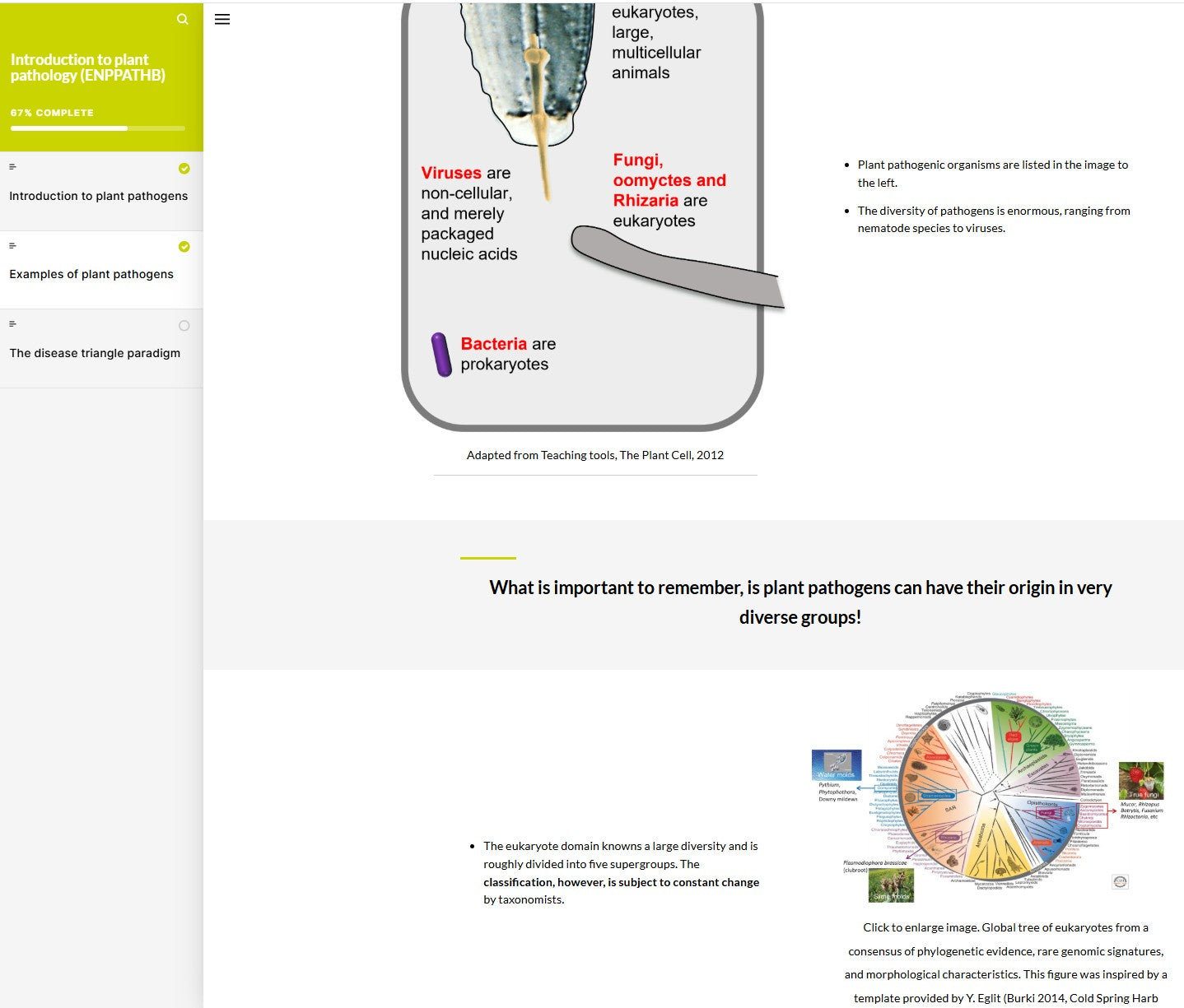 Introduction to plant pathology (PPTBEN0923)