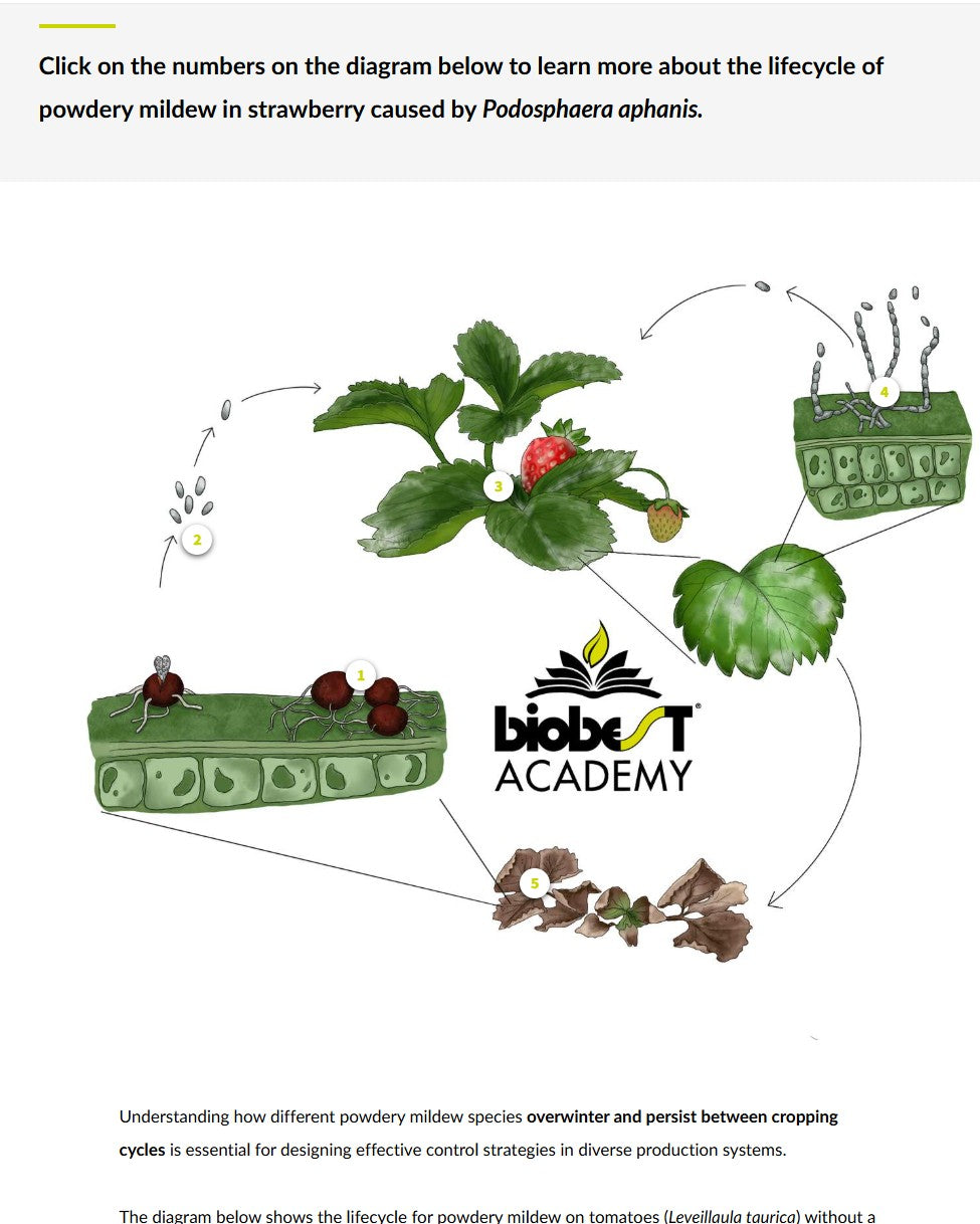 Key diseases in protected crops (DPCAEN0923)