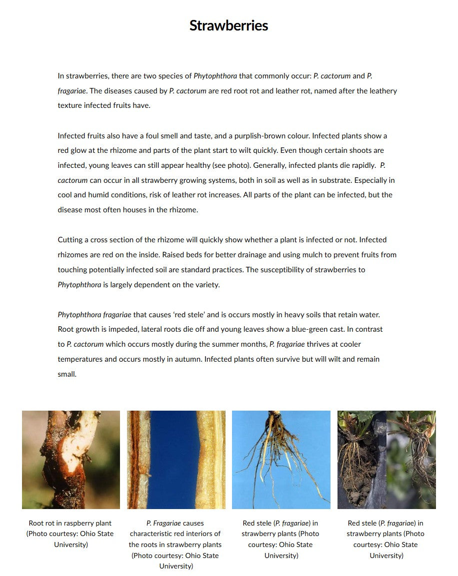 Key diseases in protected crops (DPCAEN0923)