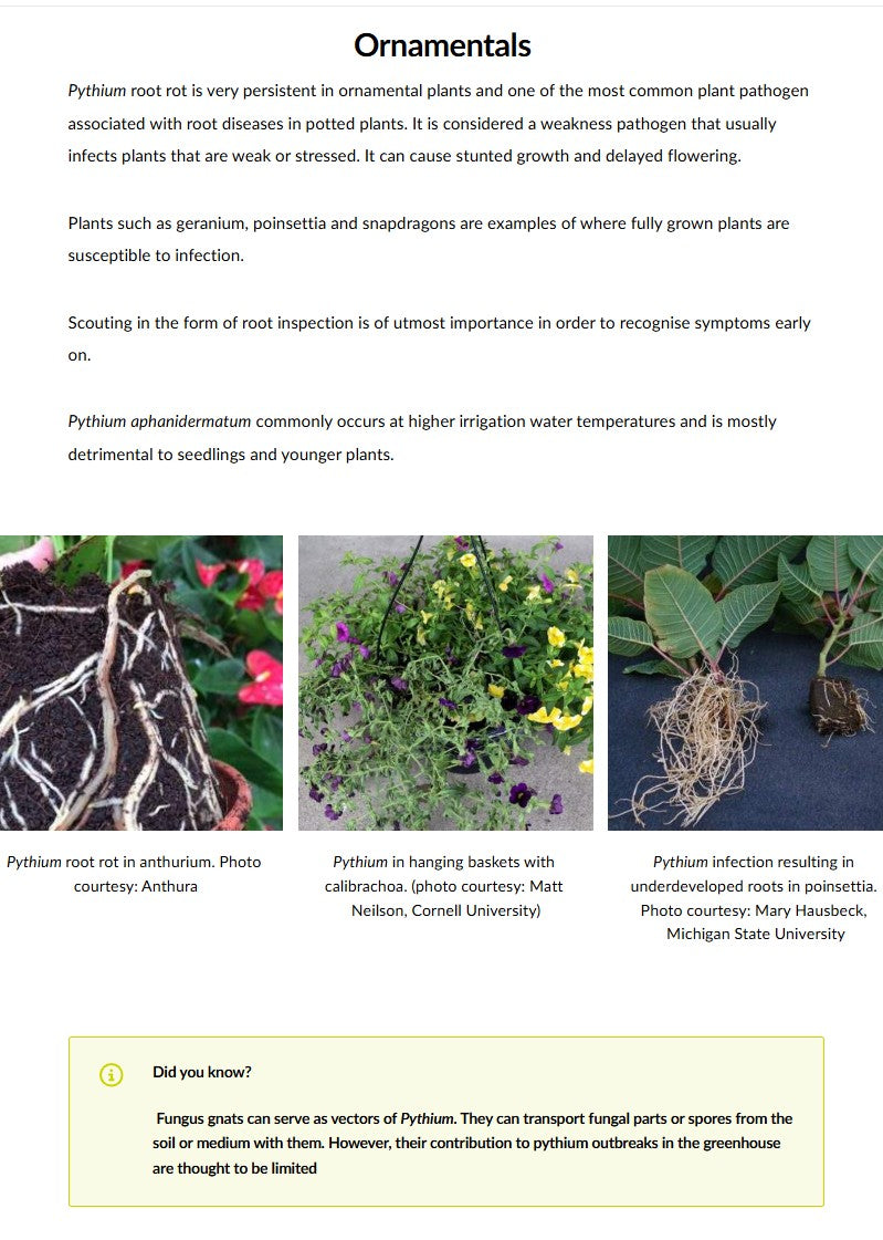Key diseases in protected crops (DPCAEN0923)