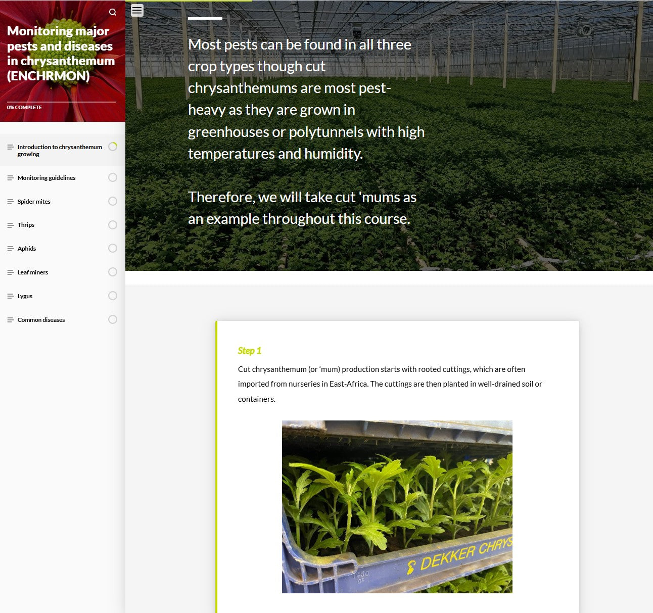 Monitoring major pests and diseases of Chrysanthemums (CHRBEN1024)