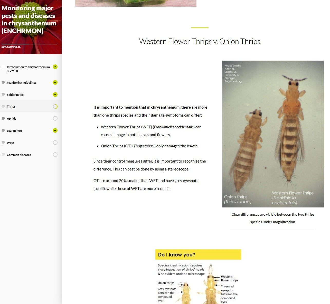 Monitoring major pests and diseases of Chrysanthemums (CHRBEN1024)