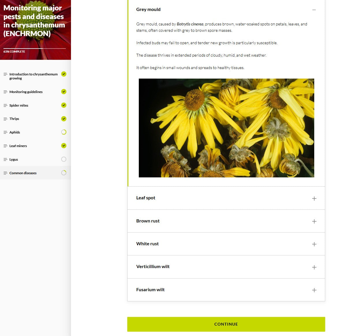 Monitoring major pests and diseases of Chrysanthemums (CHRBEN1024)
