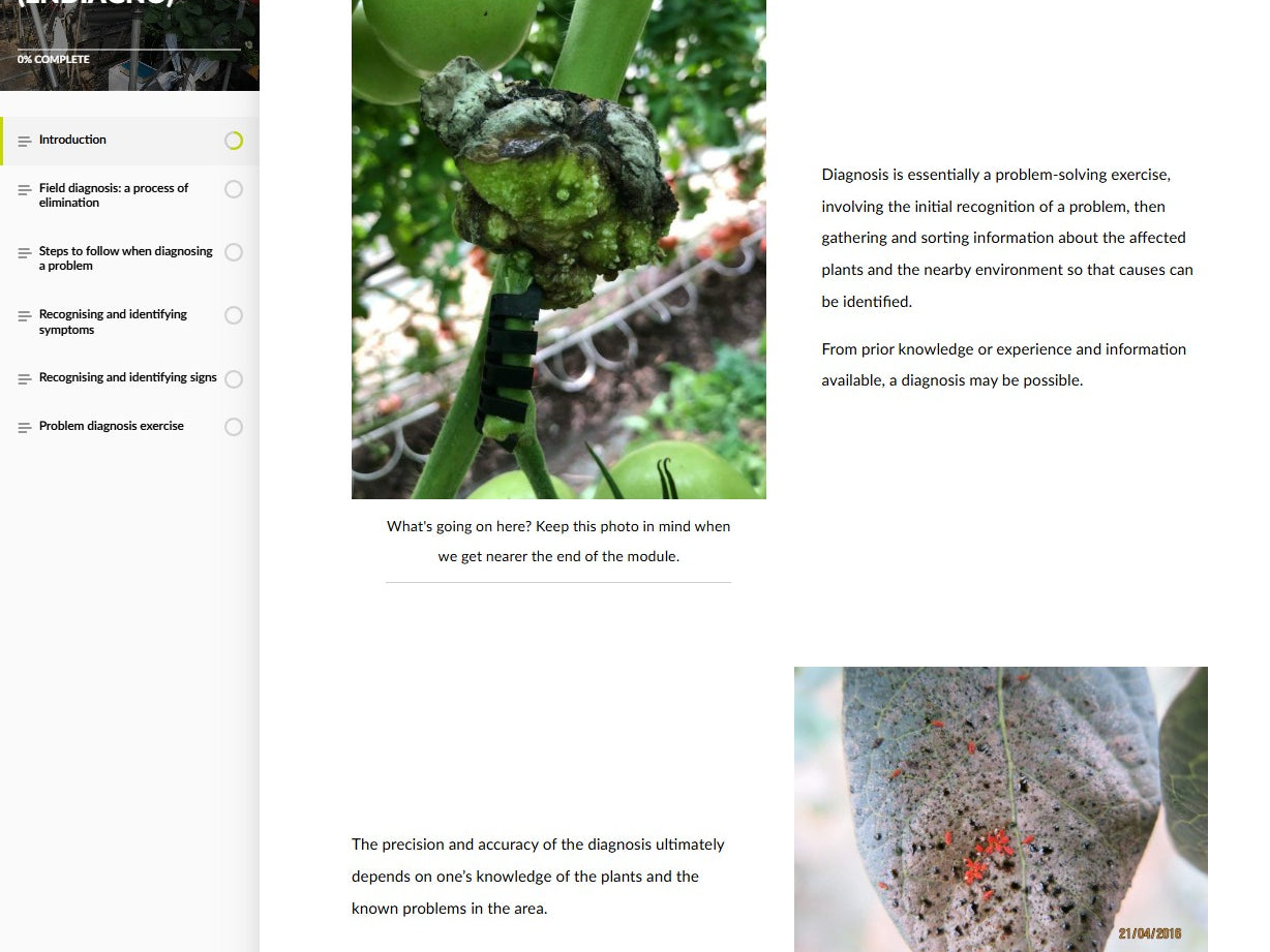 Pest and disease diagnosis (DGNAEN0424)