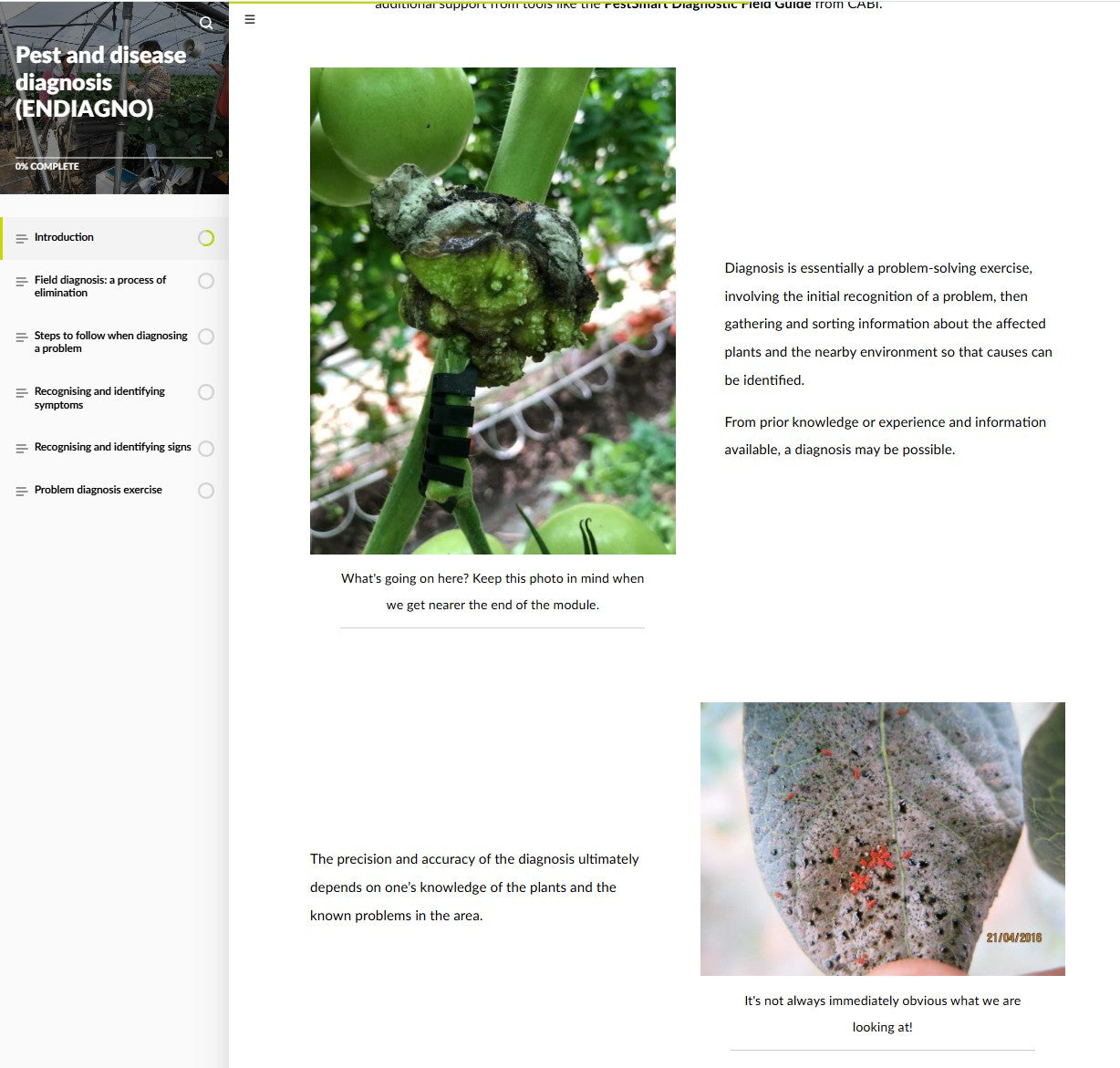 Pest and disease diagnosis (DGNAEN0424)