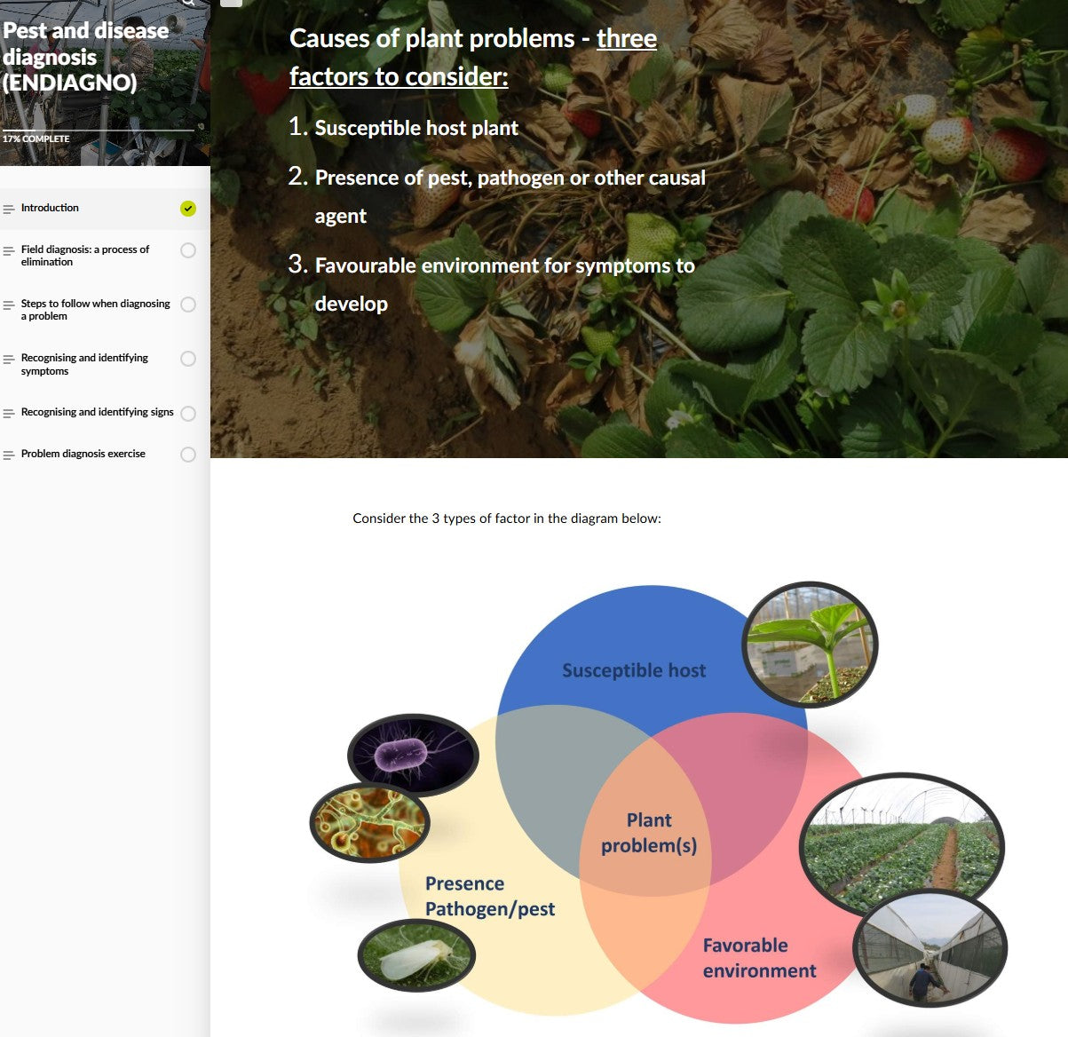 Pest and disease diagnosis (DGNAEN0424)