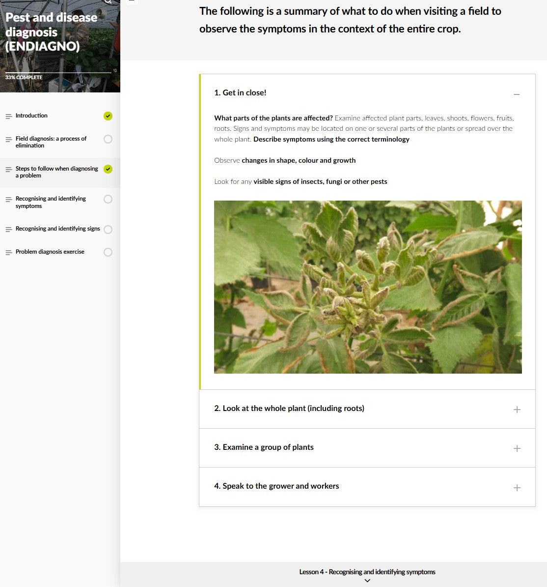 Pest and disease diagnosis (DGNAEN0424)