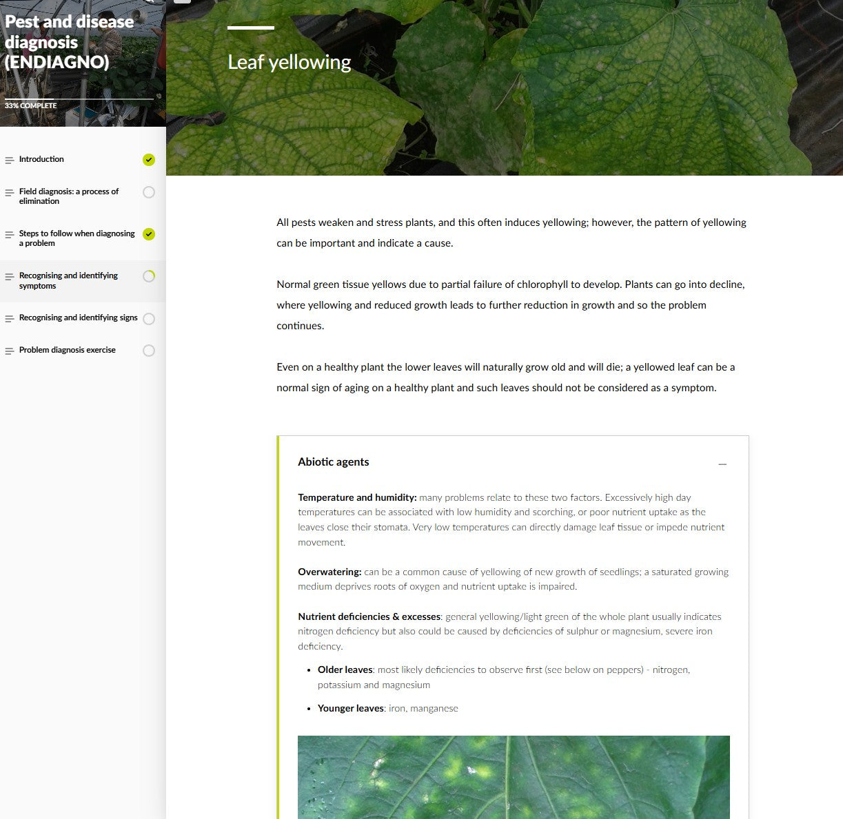 Pest and disease diagnosis (DGNAEN0424)