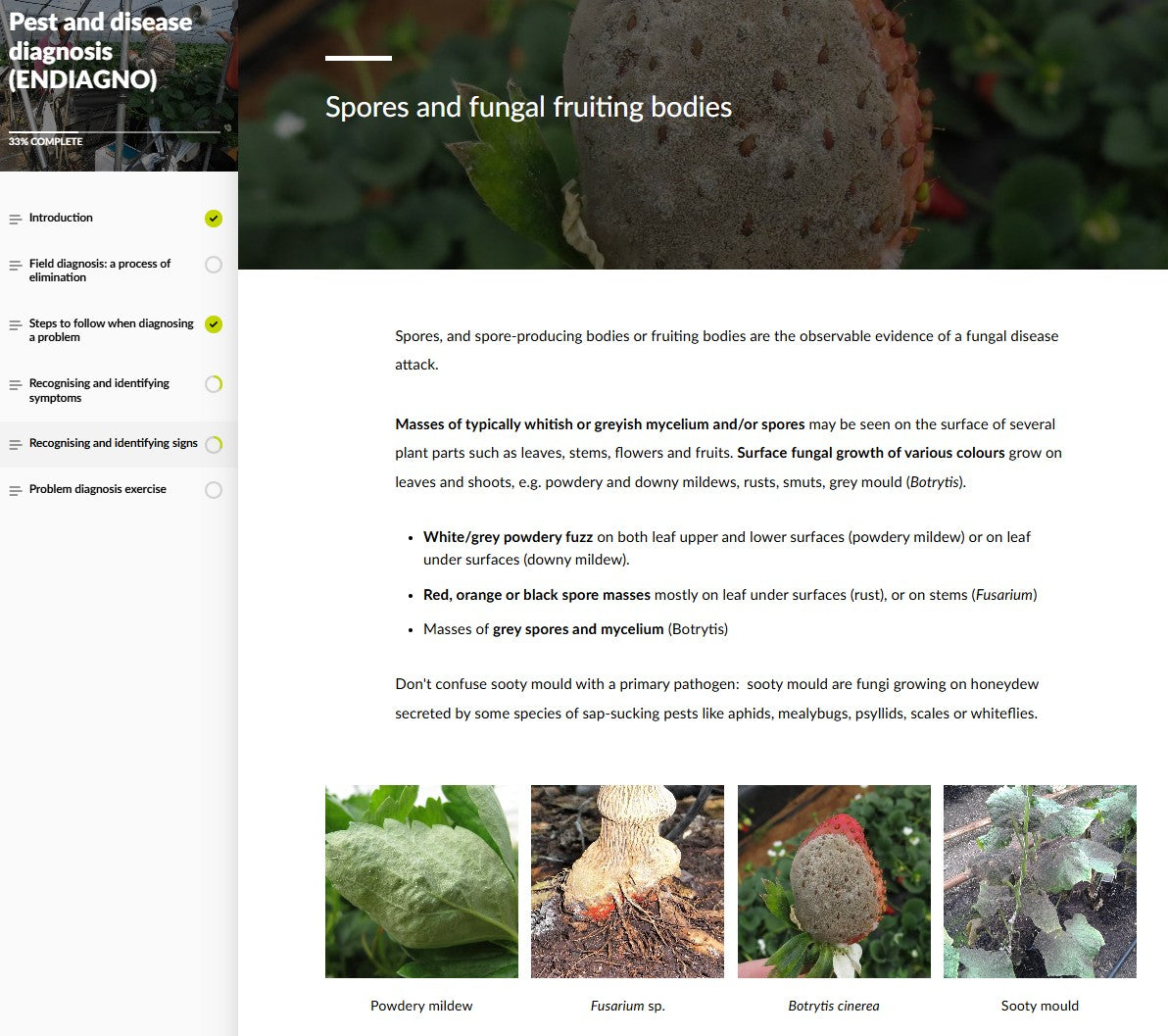 Pest and disease diagnosis (DGNAEN0424)