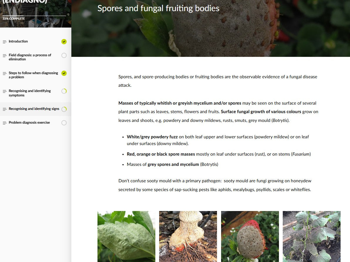 Pest and disease diagnosis (DGNAEN0424)