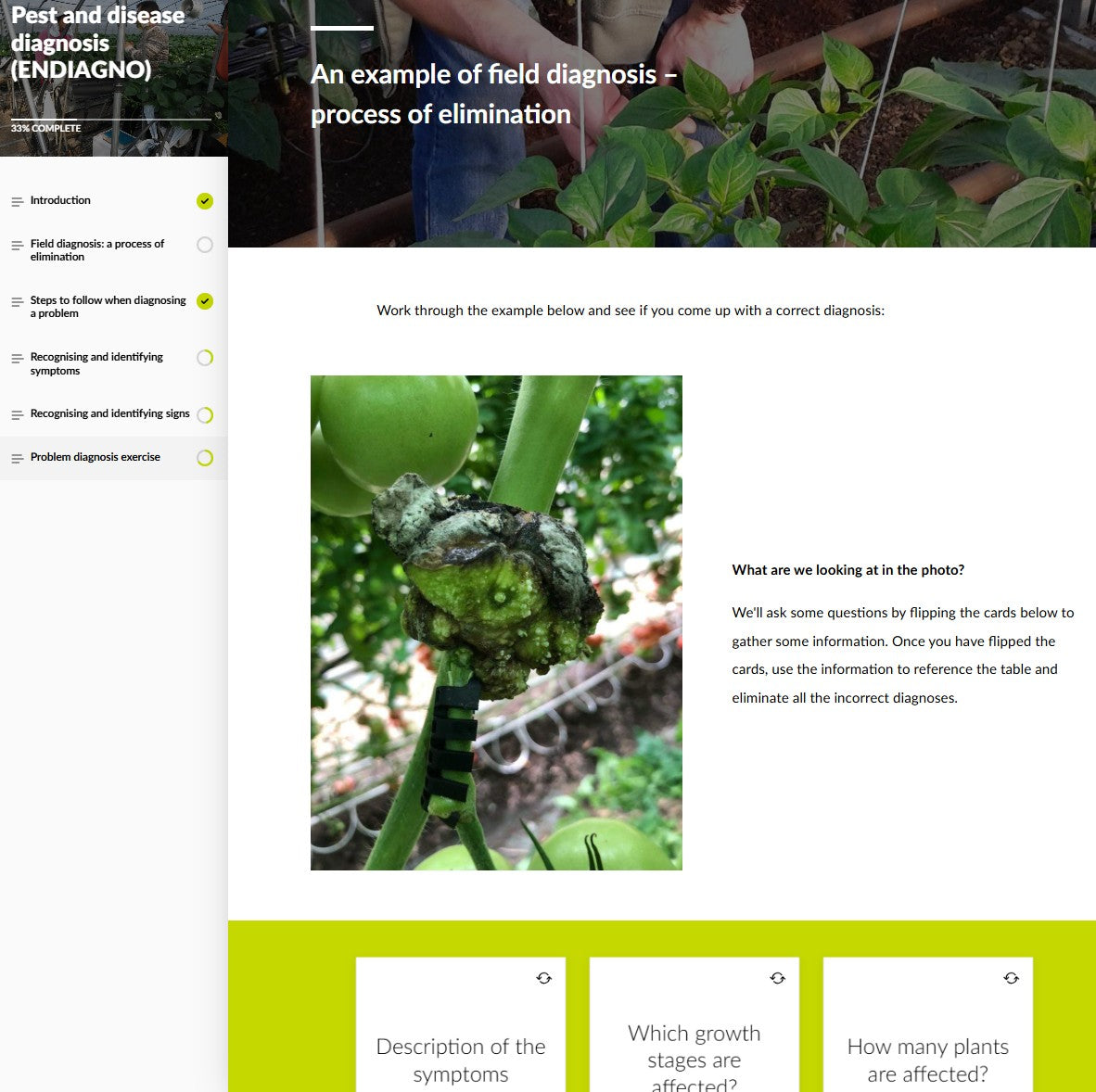 Pest and disease diagnosis (DGNAEN0424)