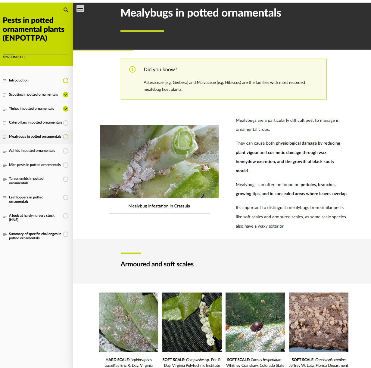 Pests of potted ornamental crops (ORNAEN0425)