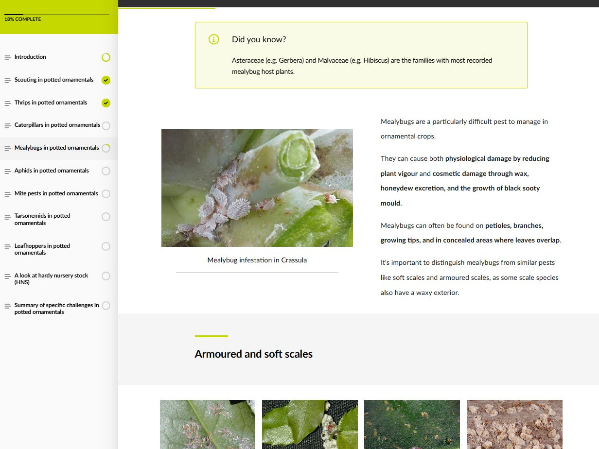 Pests of potted ornamental crops (ORNAEN0425)