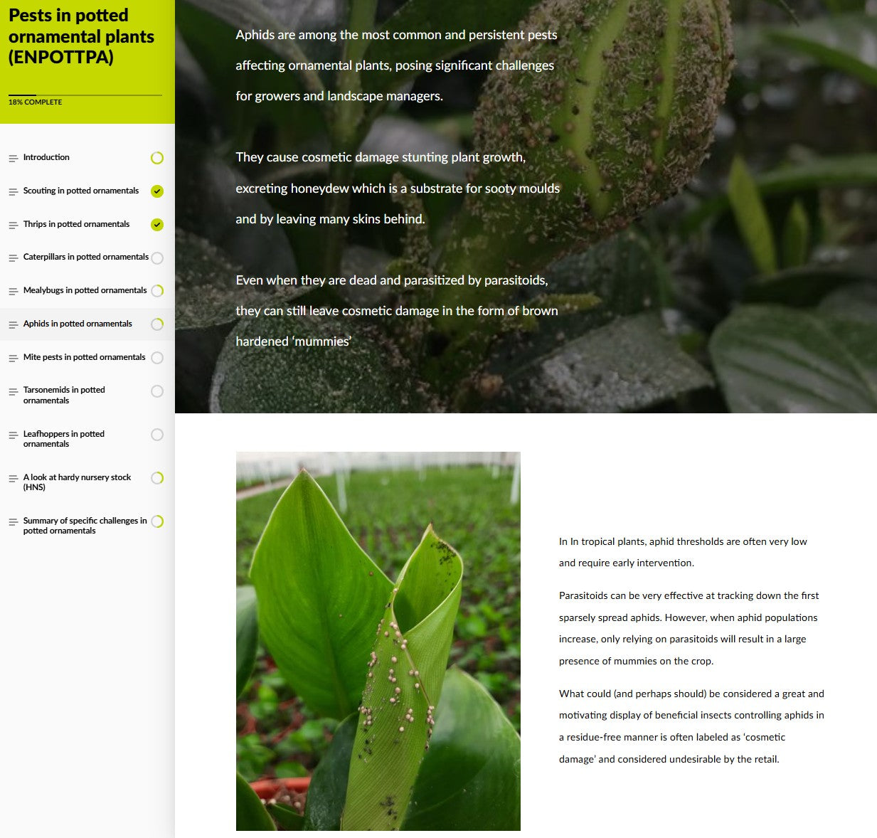 Pests of potted ornamental crops (ORNAEN0425)