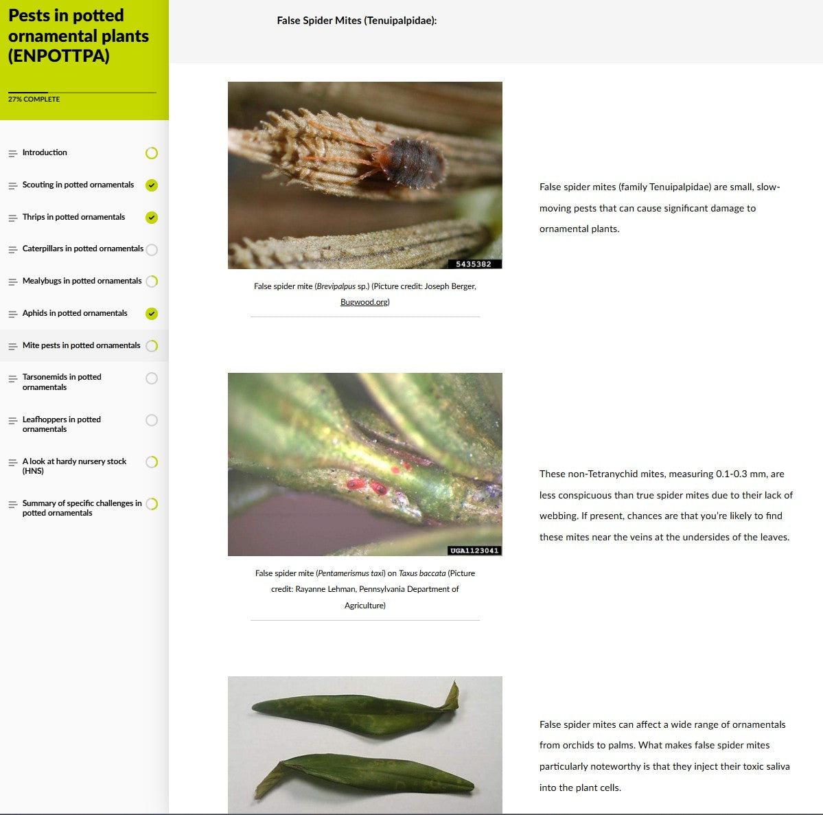 Pests of potted ornamental crops (ORNAEN0425)