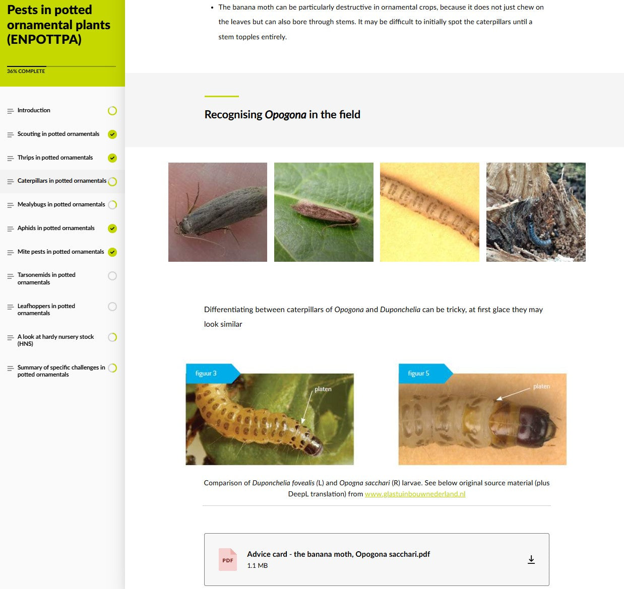 Pests of potted ornamental crops (ORNAEN0425)