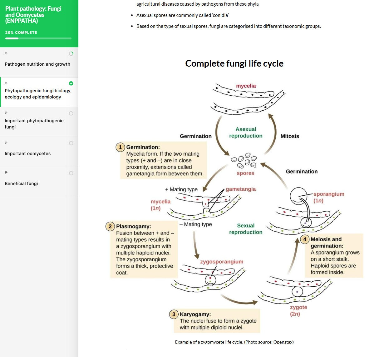 Plant pathology: fungi and oomycetes (PPTAEN0923)