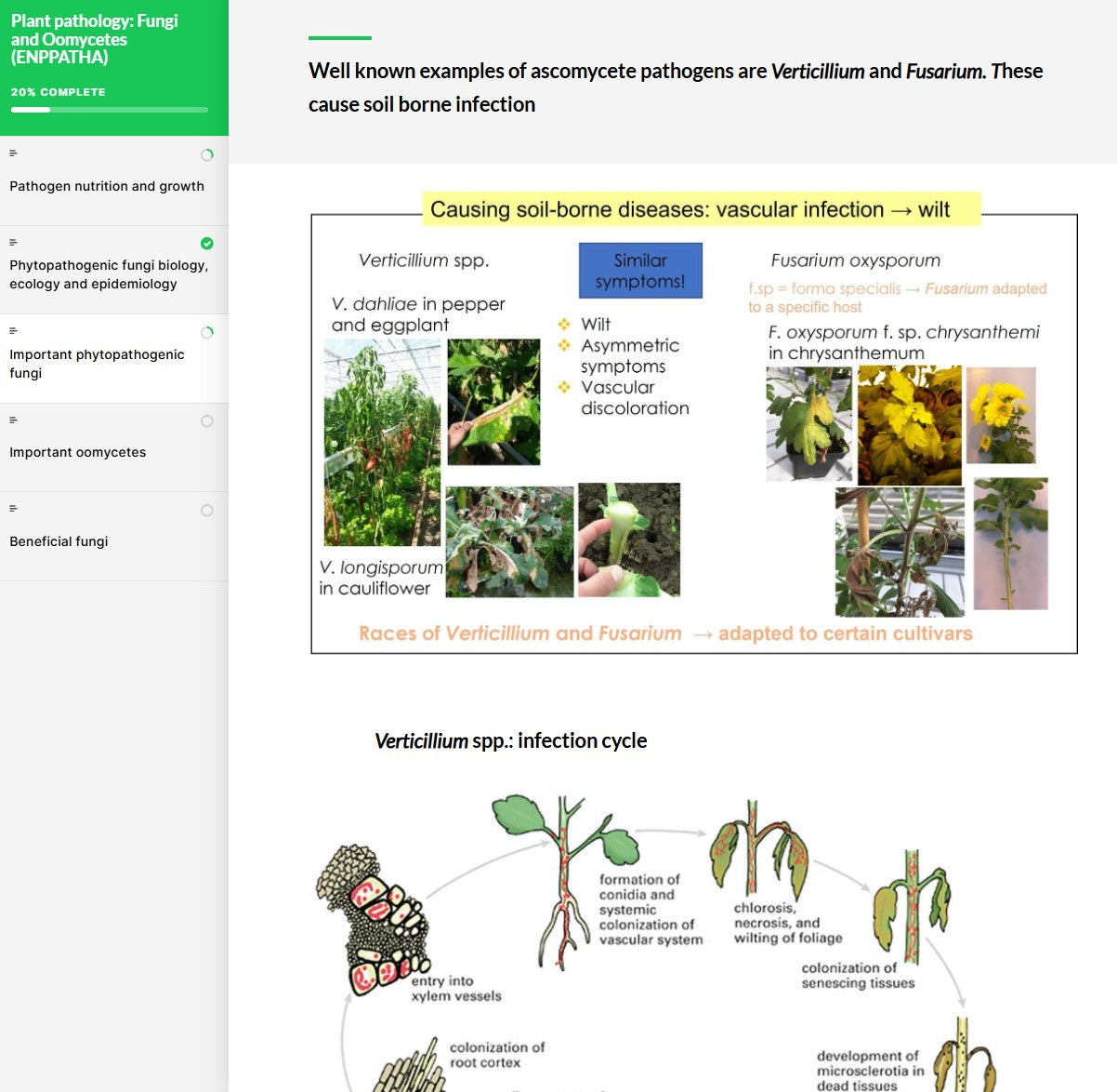 Plant pathology: fungi and oomycetes (PPTAEN0923)