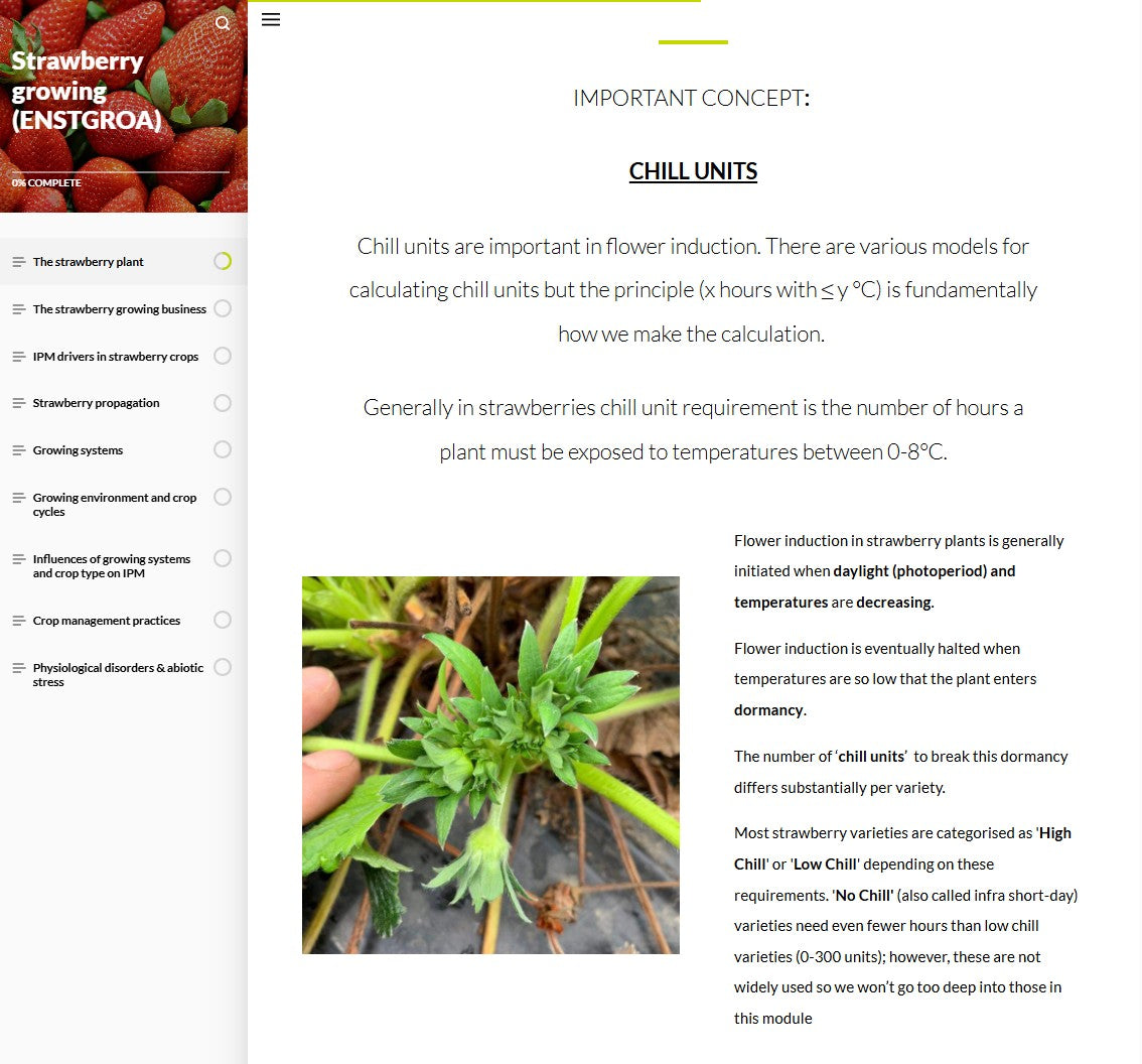Strawberry IPM and pollination (STRAEN0124)