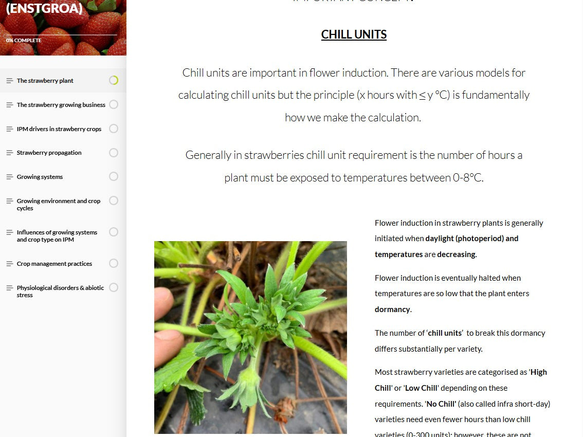 Strawberry IPM and pollination (STRAEN0124)