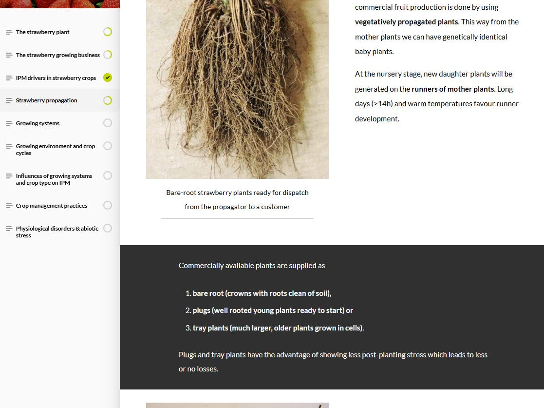 Strawberry IPM and pollination (STRAEN0124)