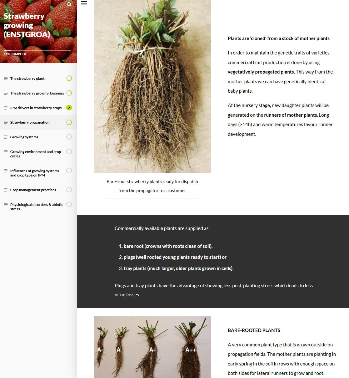 Strawberry IPM and pollination (STRAEN0124)