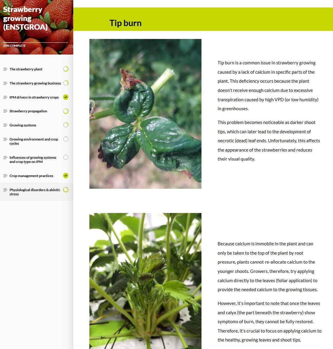 Strawberry IPM and pollination (STRAEN0124)