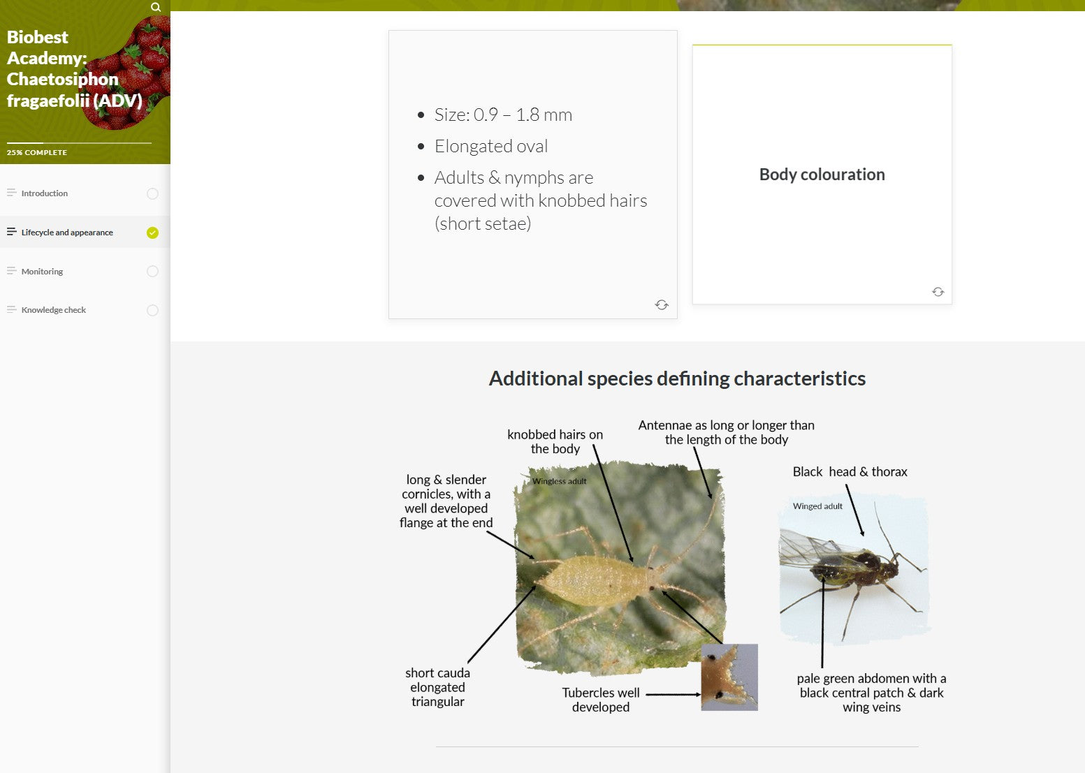 Strawberry IPM and pollination (STRAEN0124)