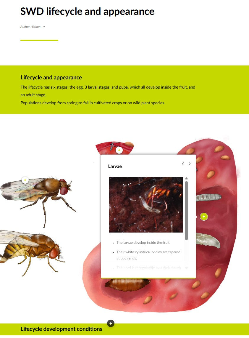 Strawberry IPM and pollination (STRAEN0124)