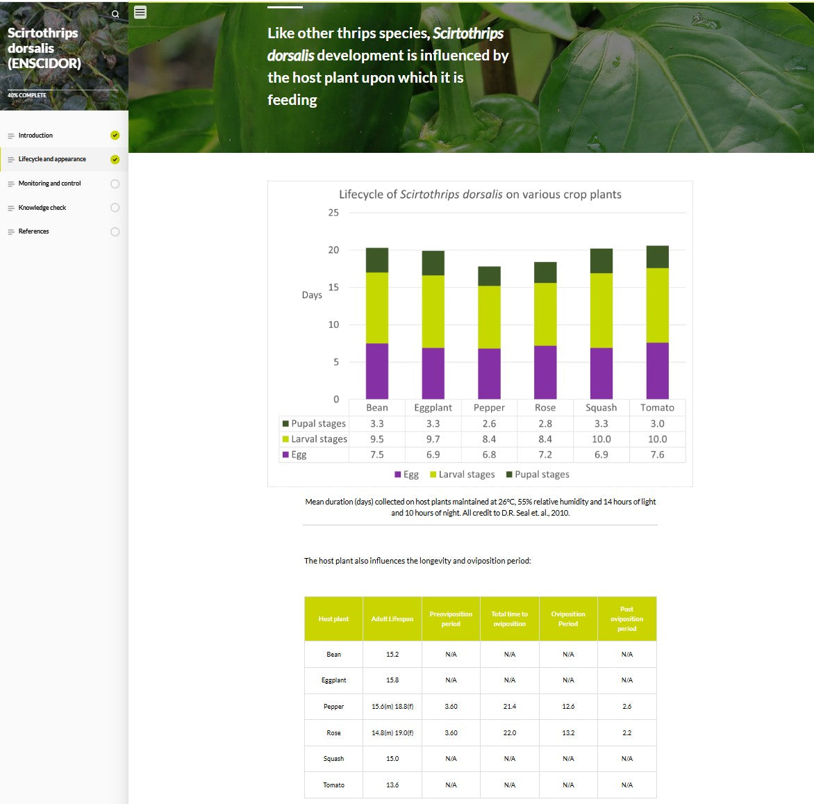 Scirtothrips dorsalis (SCIAEN0923)